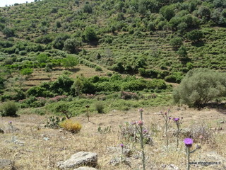 Cascate Ossena